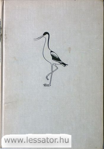 Aves - Madarak határozó könyv